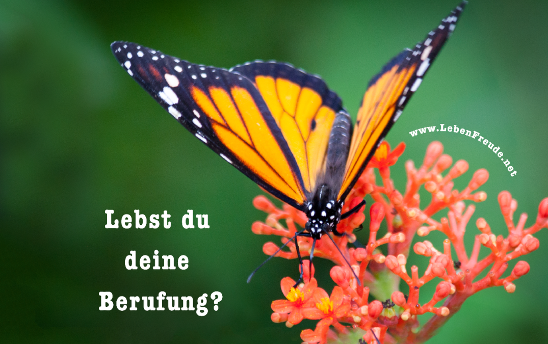 Lebst du deine Berufung